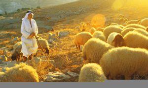 A Pastor and His Flock .